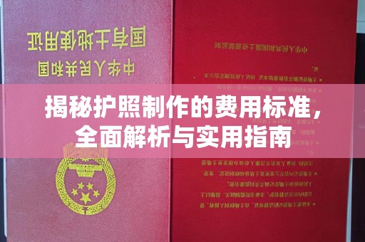 巩留揭秘护照制作的费用标准，全面解析与实用指南